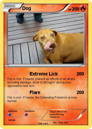 Pokemon Dog