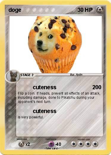Pokemon doge