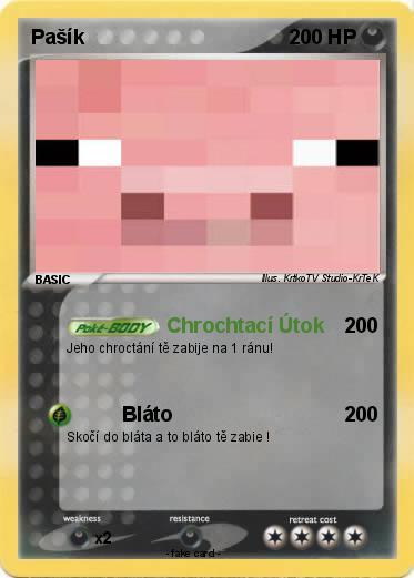 Pokemon Pašík