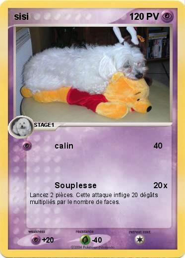 Pokemon sisi