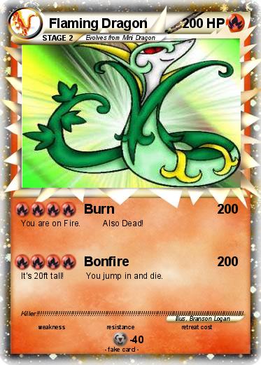 Pokemon Flaming Dragon