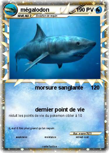 Pokemon mégalodon