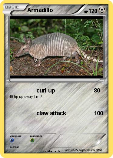 Pokemon Armadillo