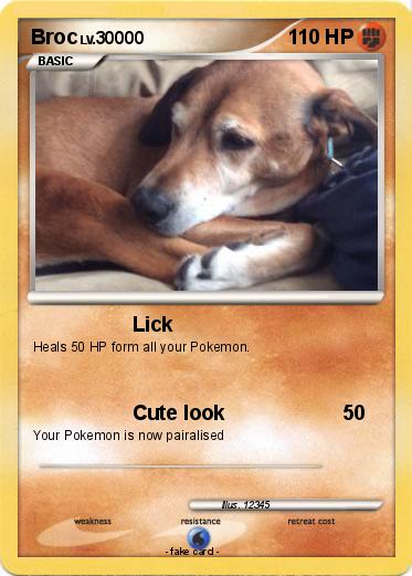 Pokemon Broc