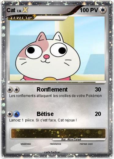 Pokemon Cat