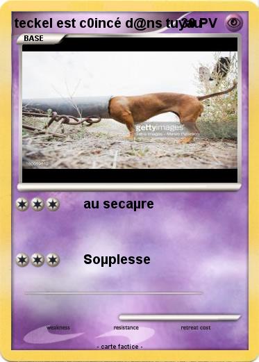 Pokemon teckel est c0incé d@ns tuyau
