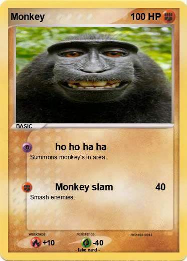 Pokemon Monkey