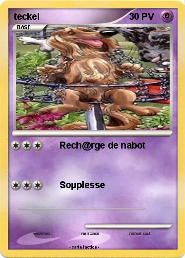 Pokemon teckel