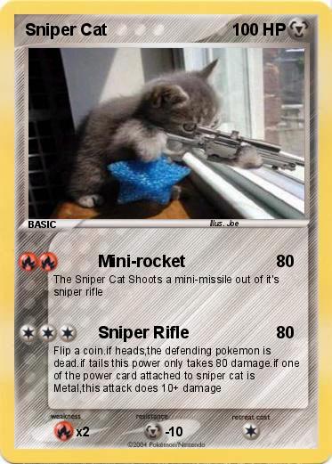 Pokemon Sniper Cat