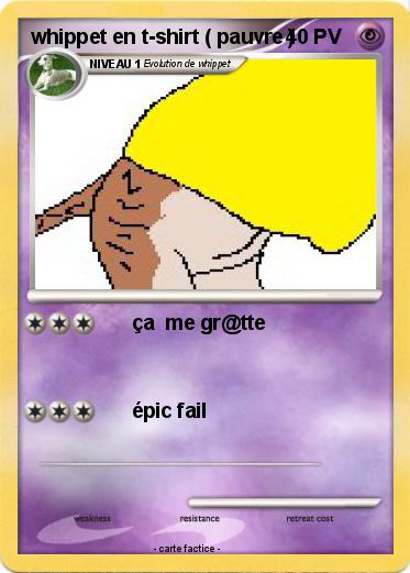Pokemon whippet en t-shirt ( pauvre )