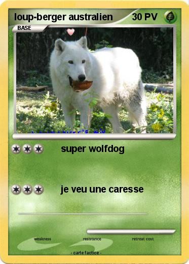 Pokemon loup-berger australien