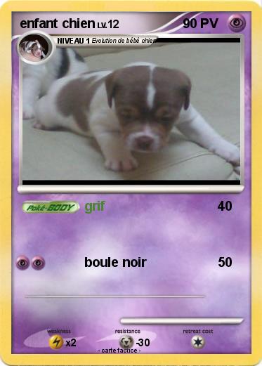 Pokemon enfant chien
