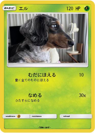 Pokemon エル