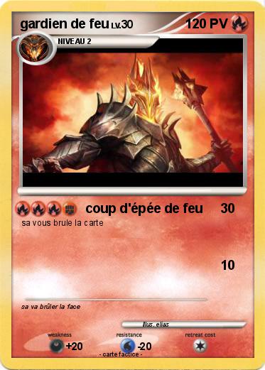 Pokemon gardien de feu