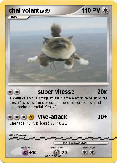 Pokemon chat volant
