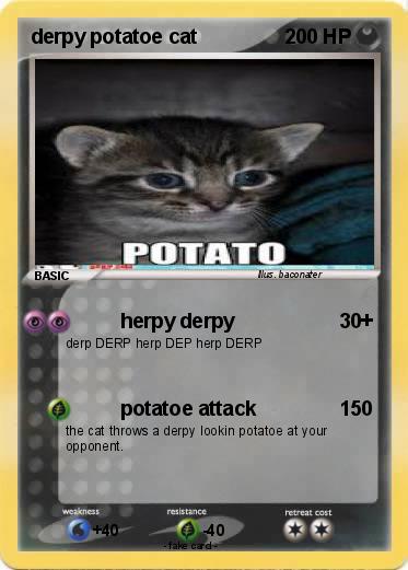 Pokemon derpy potatoe cat