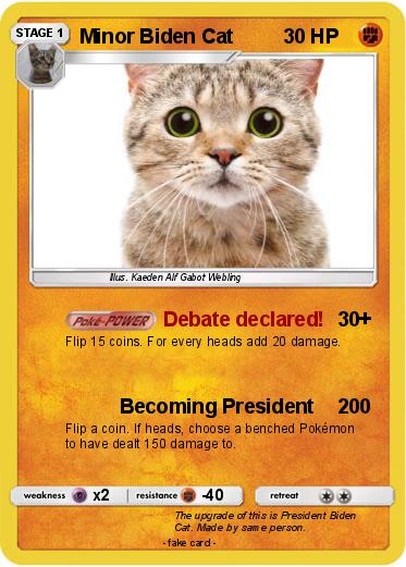 Pokemon Minor Biden Cat