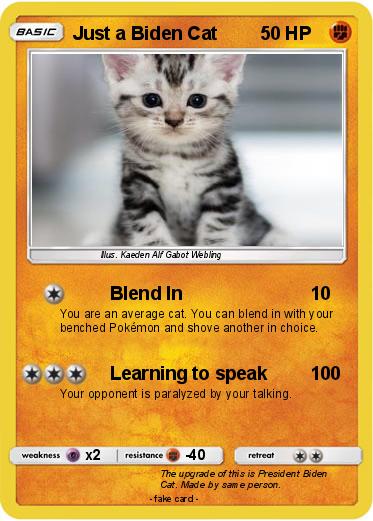 Pokemon Just a Biden Cat