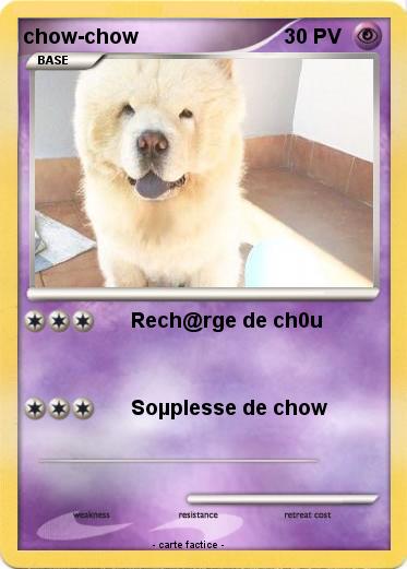 Pokemon chow-chow