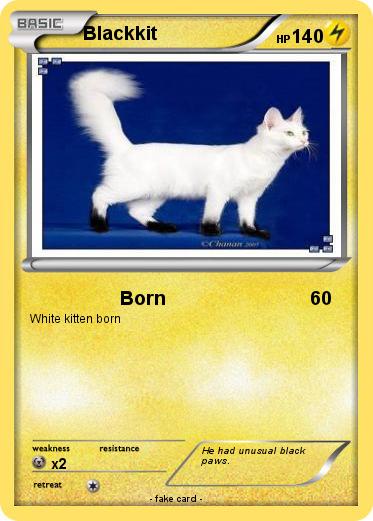 Pokemon Blackkit