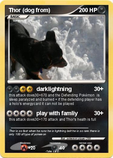 Pokemon Thor (dog from)