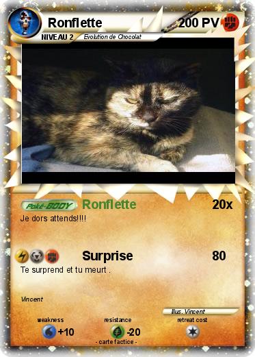 Pokemon Ronflette