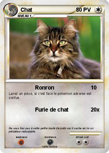 Pokemon Chat