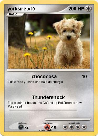 Pokemon yorksire