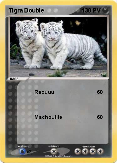 Pokemon Tigra Double