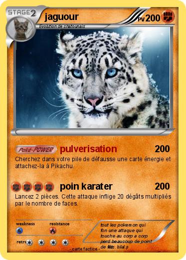 Pokemon jaguour