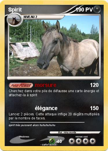 Pokemon Spirit