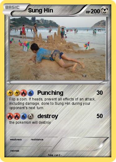 Pokemon Sung Hin