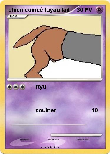 Pokemon chien coincé tuyau fail