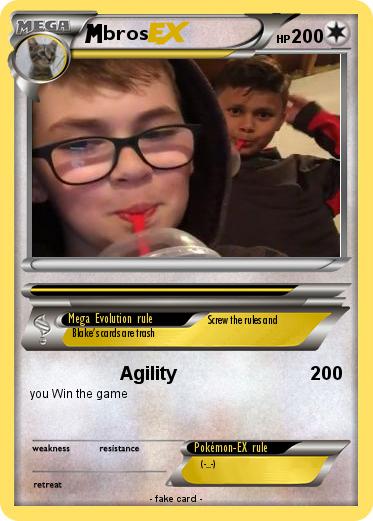 Pokemon bros