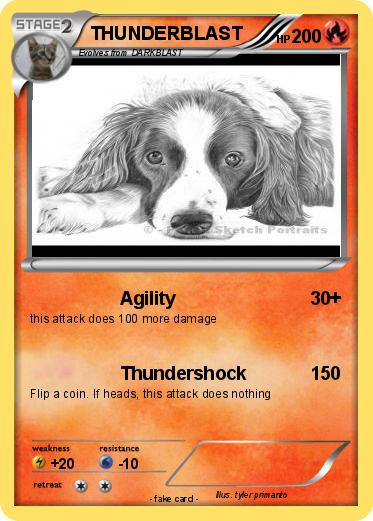 Pokemon THUNDERBLAST
