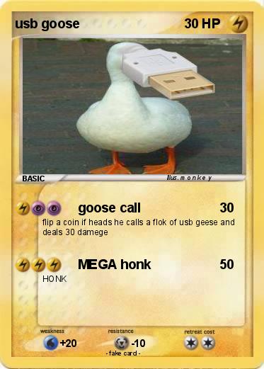 Pokemon usb goose