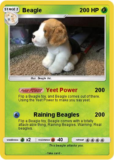 Pokemon Beagle