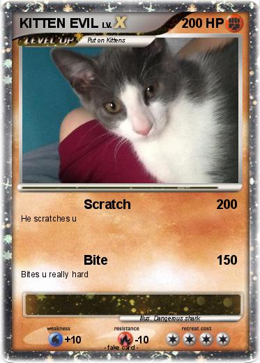 Pokemon KITTEN EVIL