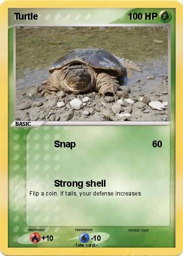 Pokemon Turtle