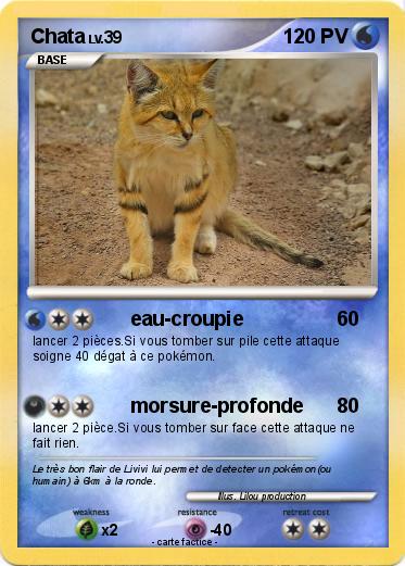 Pokemon Chata