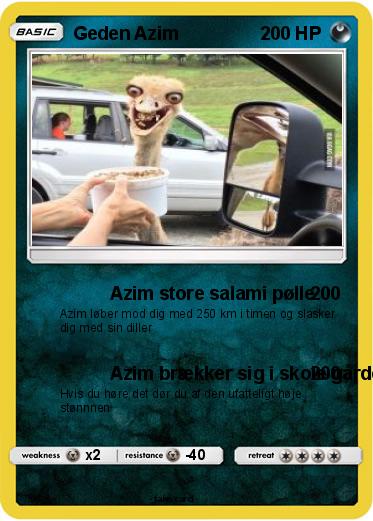 Pokemon Geden Azim