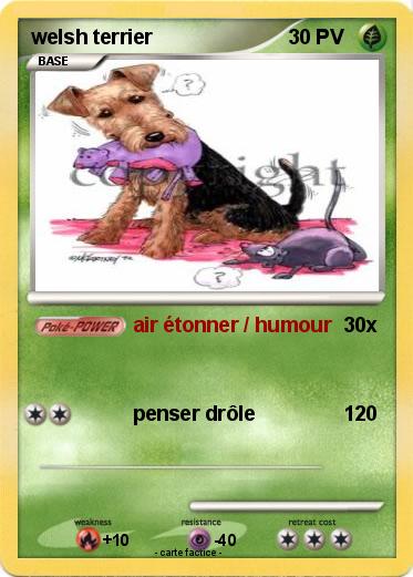 Pokemon welsh terrier