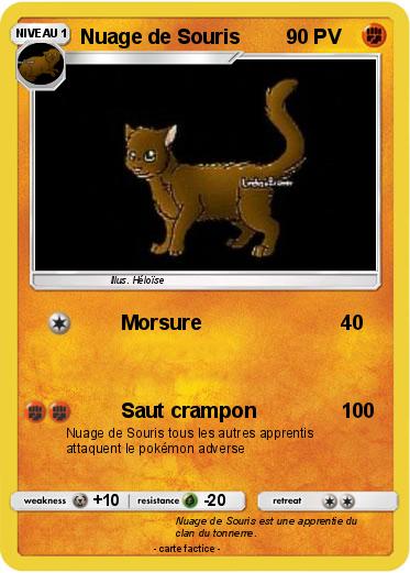 Pokemon Nuage de Souris