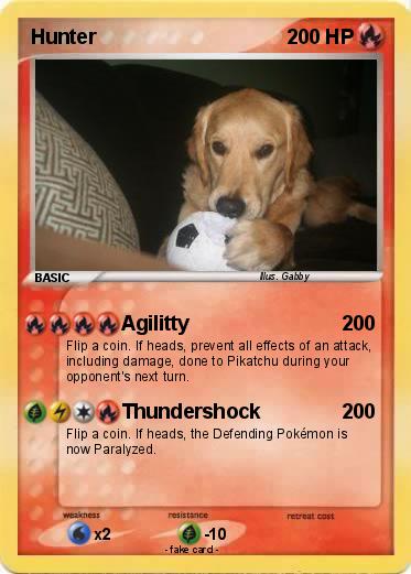 Pokemon Hunter