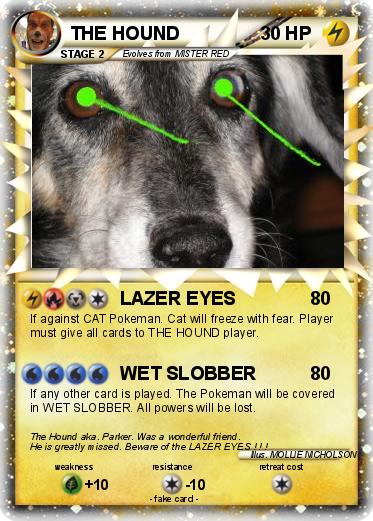 Pokemon THE HOUND