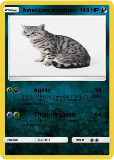 Pokemon American shorthair