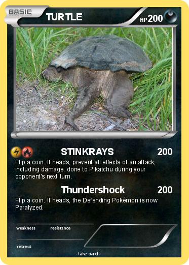 Pokemon TURTLE