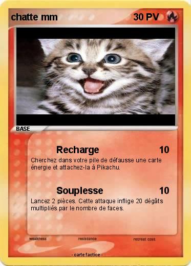 Pokemon chatte mm