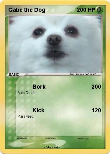 Pokemon Gabe the Dog