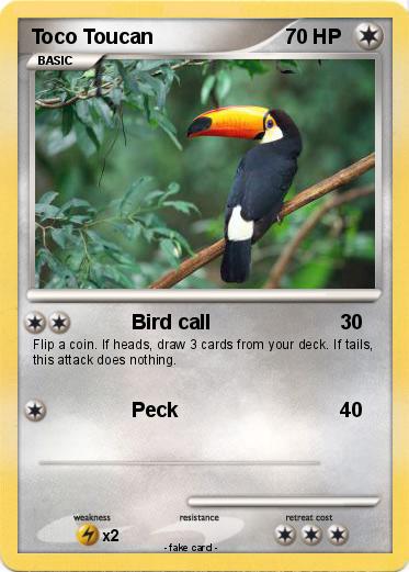 Pokemon Toco Toucan